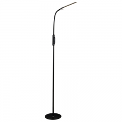 Modern Floor Lamp/Iron