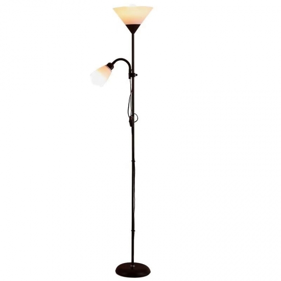 Modern Floor Lamp/Iron