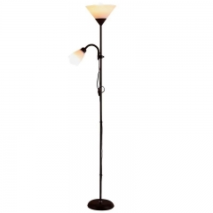 Modern Floor Lamp/Iron