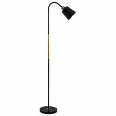 Modern Floor Lamp/Iron