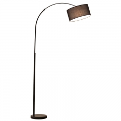 Modern Floor Lamp/Iron